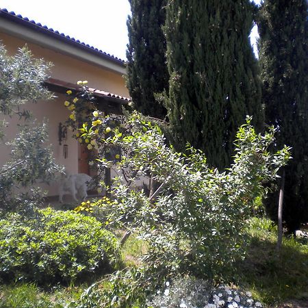 Le Tre Querce Bed and Breakfast Fiano Romano Eksteriør billede