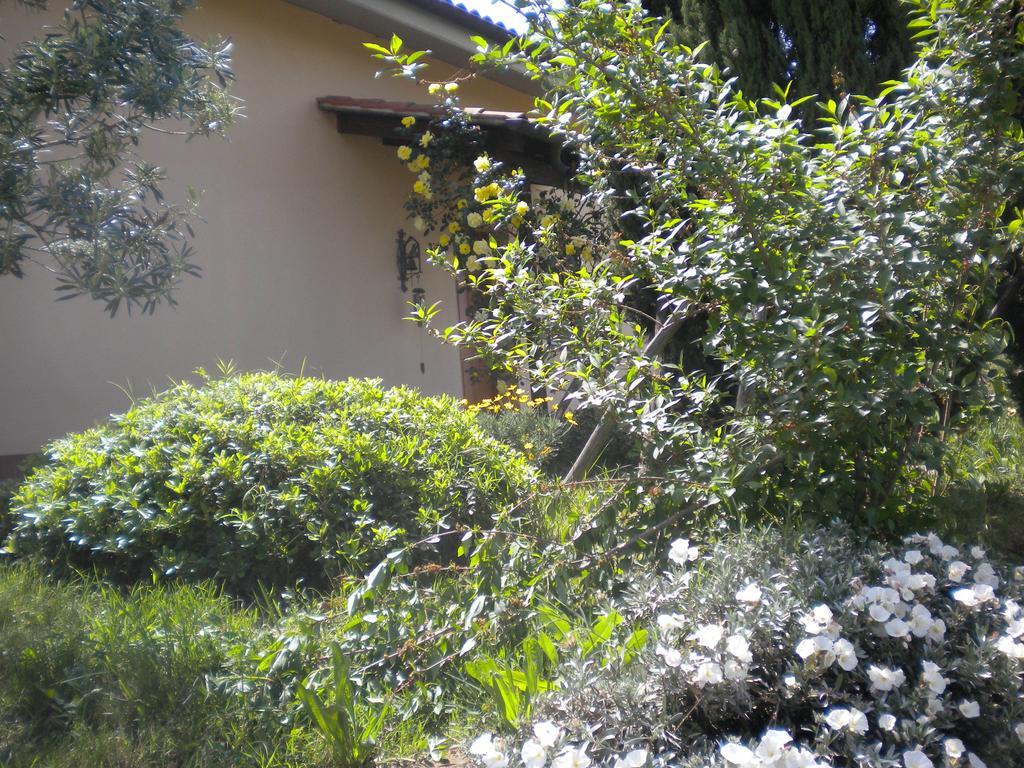 Le Tre Querce Bed and Breakfast Fiano Romano Eksteriør billede