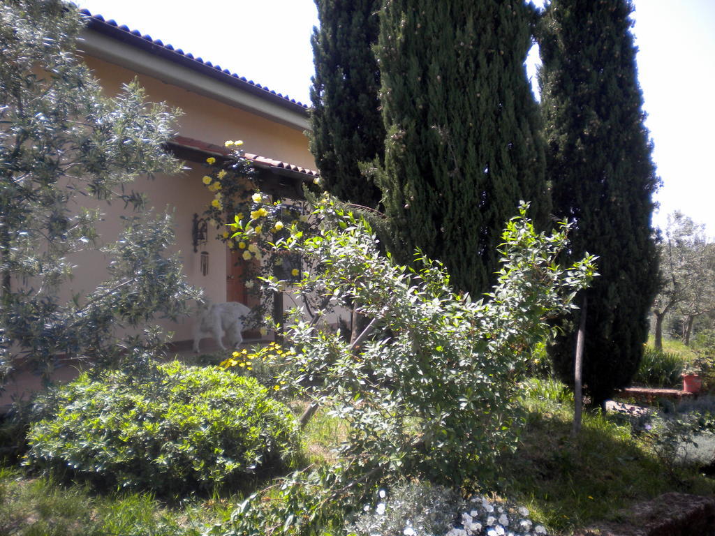 Le Tre Querce Bed and Breakfast Fiano Romano Eksteriør billede